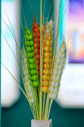 ��ɫ����