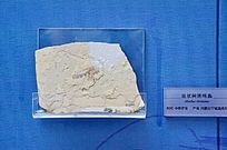 ��״�������