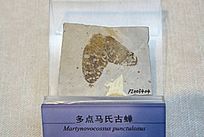 �������ɹŶ�����ϹŲ���ʯ