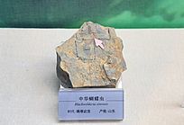 ����ɽ�������������л������滯ʯ