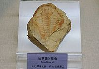 �������ϳν��纮����ʼ����������