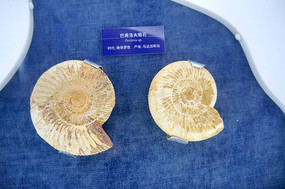 ���������˹�Ӱ͸�����ʯ