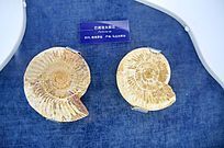 ���������˹�Ӱ͸�����ʯ