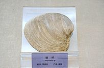 ���ļ������걾