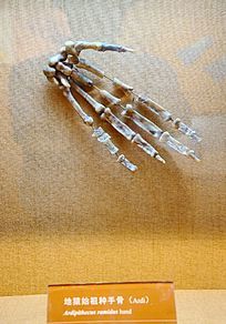 ��Գʼ�����ֹ�