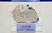 ��ɫǿ׳��󹻯ʯ