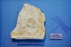 ������Ы��