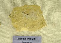 ���εȴ̳滯ʯ