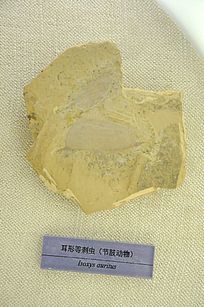 ���εȴ̳棨��֫�����ʯ