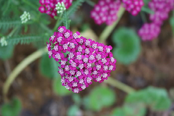 �ۻ����߾�