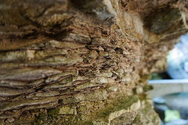 ���ϵ���ʯ΢��