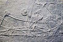 ���ٺϻ�ʯ�ֲ�