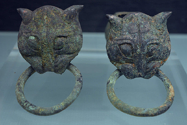 �������״���ͭð