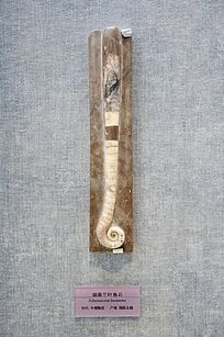 ������Ҷ��ʯ