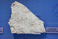 ������Ű뵺Ы�Ȼ�ʯ