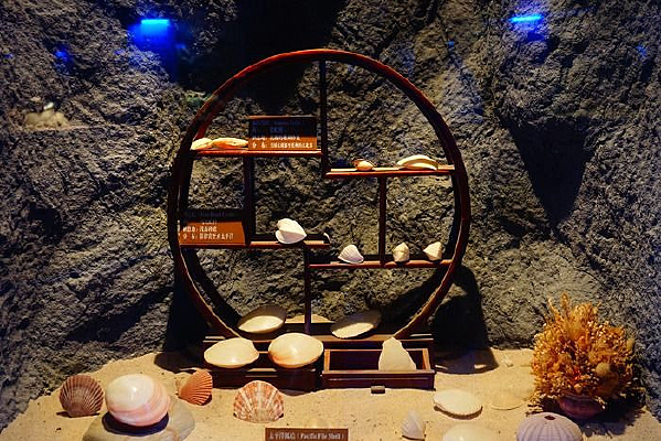 �����ݱ���