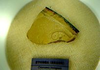 ������������