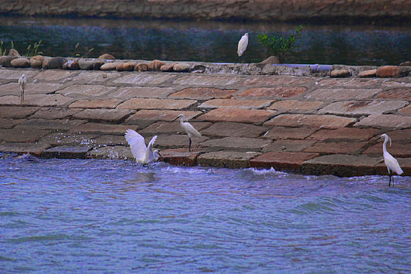 ��ֻ��Ϣ�İ���