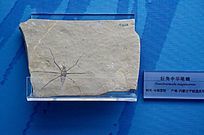 �޽��л�����ʯ