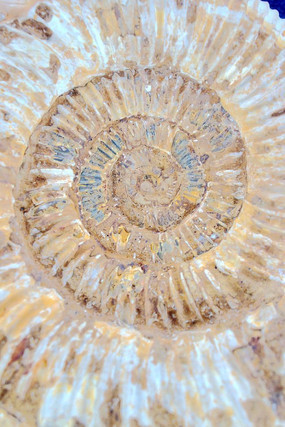 ��ʯ��������