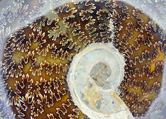 ��ʯ����