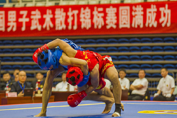 �������Ⱥ��ɢ�����