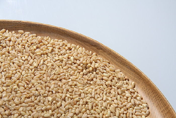 ľ���е�����