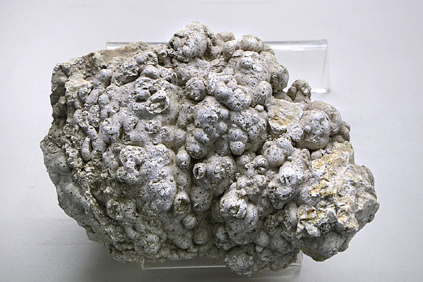 ����״������