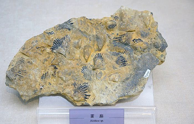 ������ʱ������