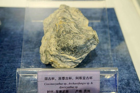 ɸ�ű���ԭ���ű��Ͱ�˹�ǹű���