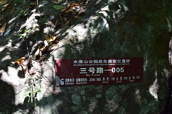 ����һ��·����Ӱ