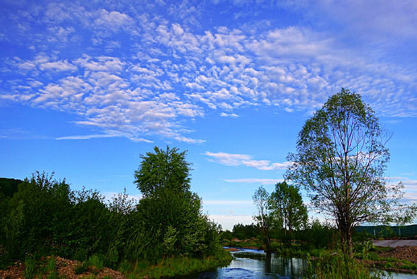 �����ƾ�