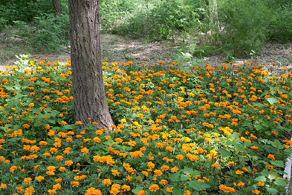 ���»���