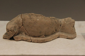 ������ٸ