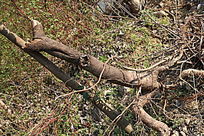 �������