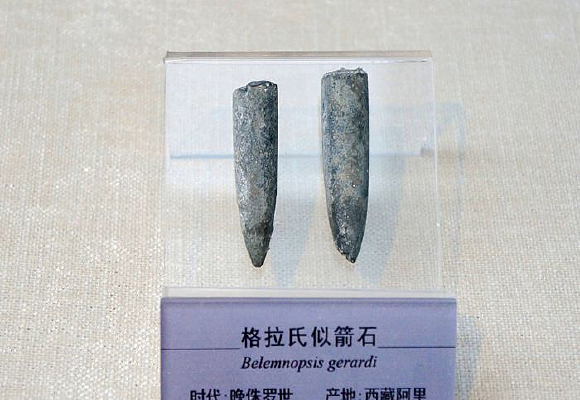 晚侏罗世格拉氏似箭石