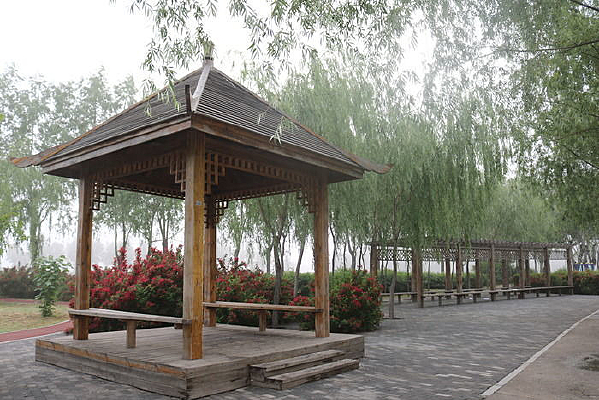 ���д�������ͤ