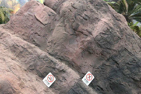 Сɽ���ϵı�ʶ��