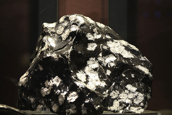 ѩ��������