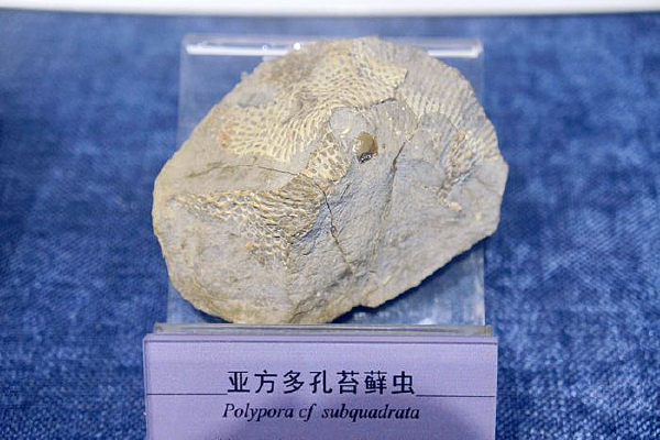 �Ƿ����̦޺�滯ʯ