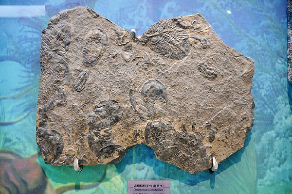 ��˳���οǳ棨�����棩��ʯ