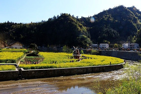 �Ͳ˻���ķ糵