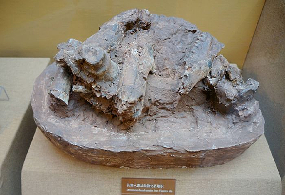 Ԫı����ַ���ﻯʯ�ѻ�