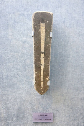 �л�������ʯ