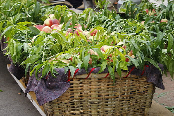 װ�����ӵĿ�