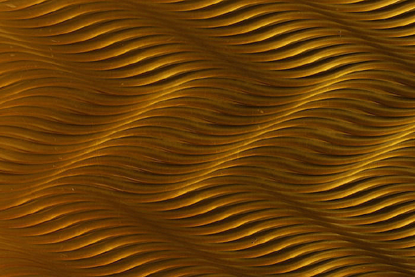 ��ɫ�����Ʊ���