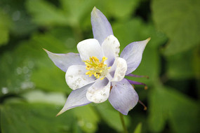 ��ɫ�����ﶷ��