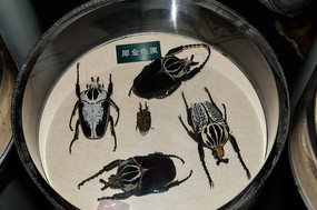 ��Ϭ�����