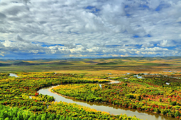 ����ʪ��