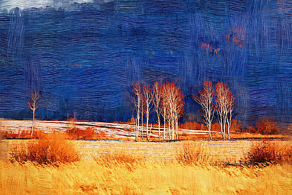 �����ͻ���ԭҰ�����֡�